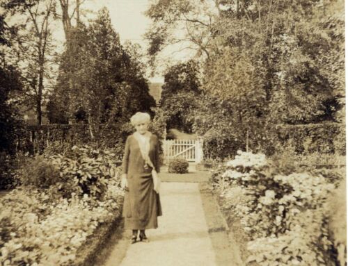 Photographs: Painted Gardens, Part 2—The Ludington Estate