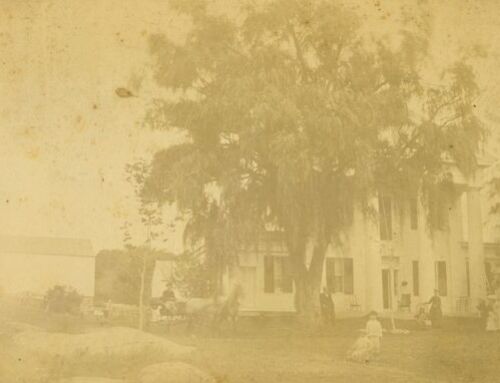 Landmarks: Einstein Dreaming in Old Lyme