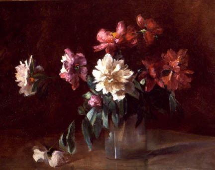 PorterPeonies1