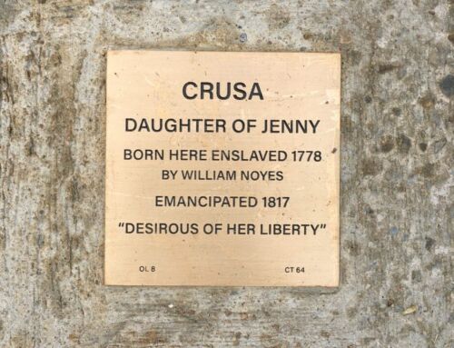 Profile: Crusa’s Emancipation